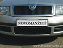 auto SPZ - novomanželé