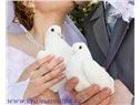 Pár bílých svatebních holoubků - živých