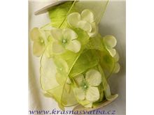 Květinová stuha Fleur 10m - zelená